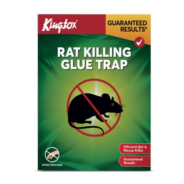 KING TOX RAT GLUE TRAP