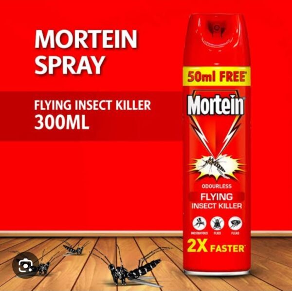 MORTEIN SPRAY 300ML